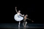 Photo 1 pour LA BAYADERE (COTE DIFFUSION)